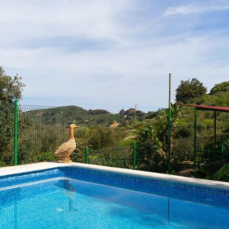 Live Finca El Gamonal Bajo Con Piscina Y Jardin En La Naturaleza Santa Brígida Exterior foto