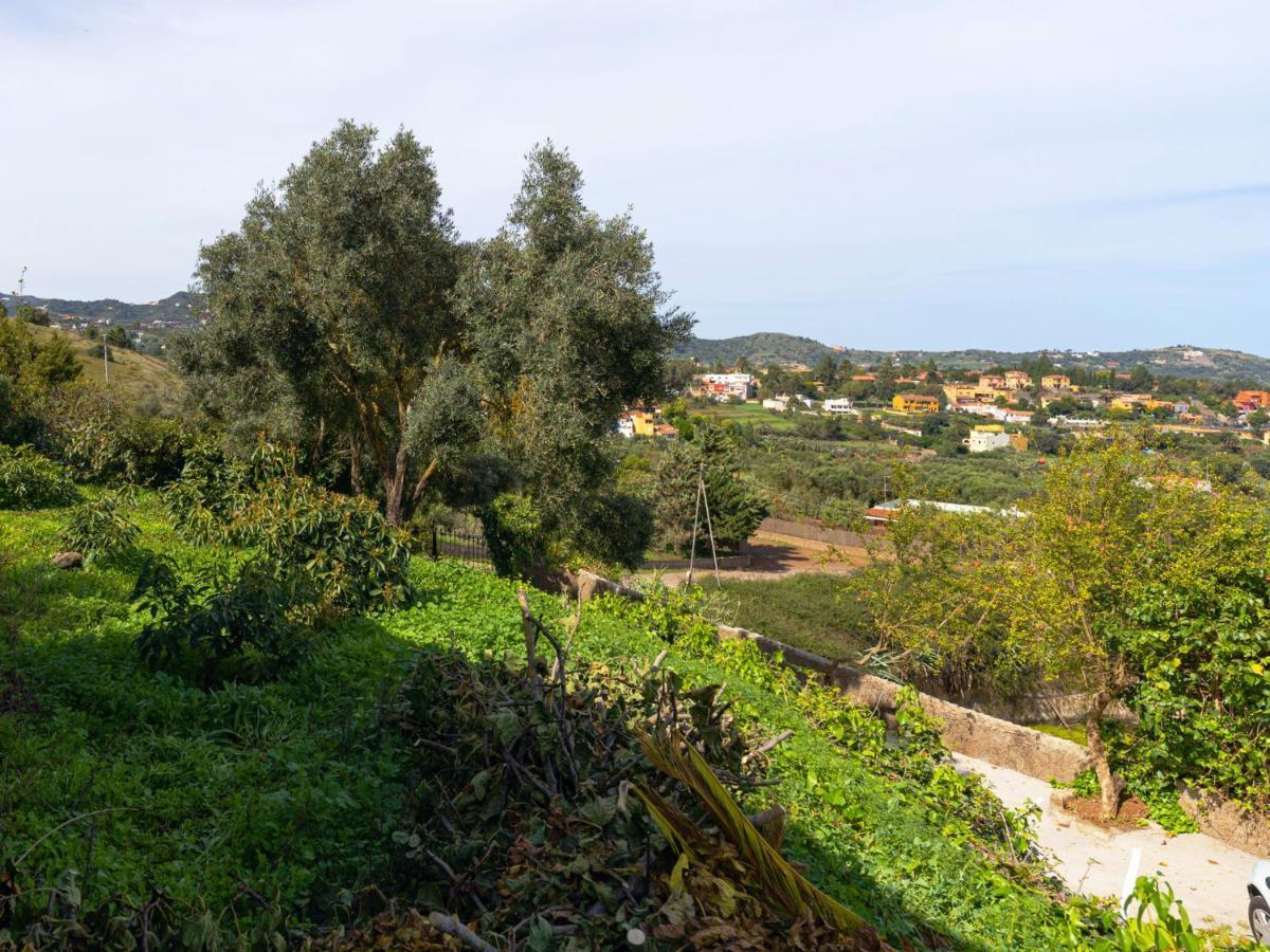 Live Finca El Gamonal Bajo Con Piscina Y Jardin En La Naturaleza Santa Brígida Exterior foto