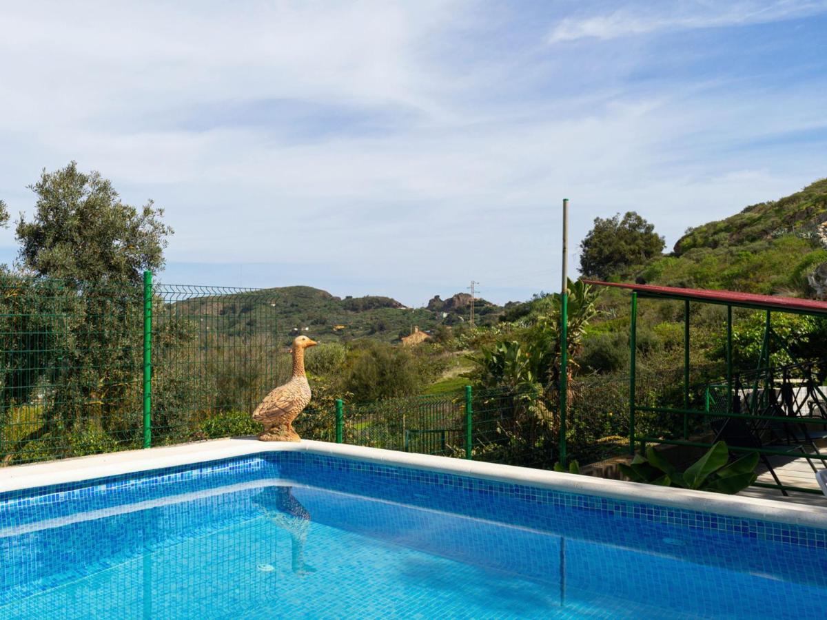Live Finca El Gamonal Bajo Con Piscina Y Jardin En La Naturaleza Santa Brígida Exterior foto