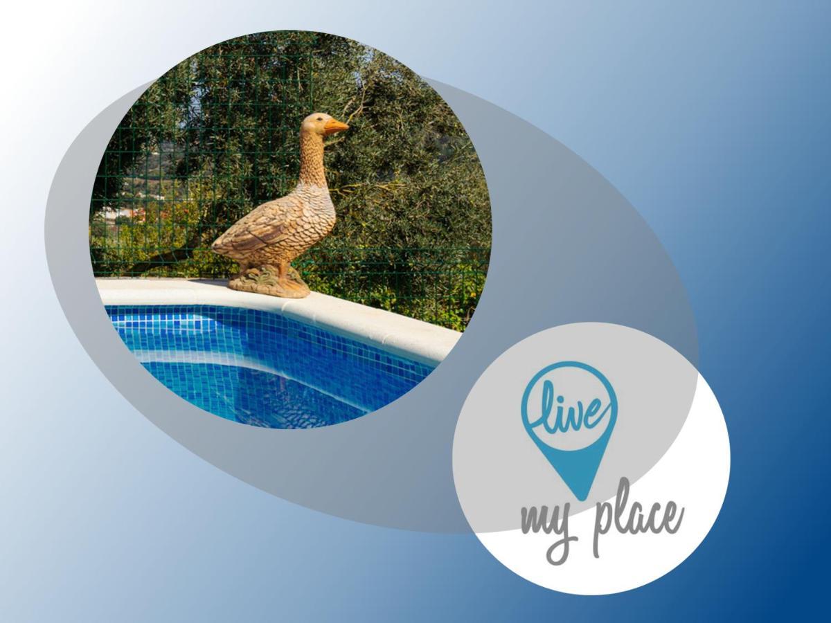 Live Finca El Gamonal Bajo Con Piscina Y Jardin En La Naturaleza Santa Brígida Exterior foto